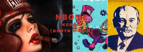 шишки Бабаево