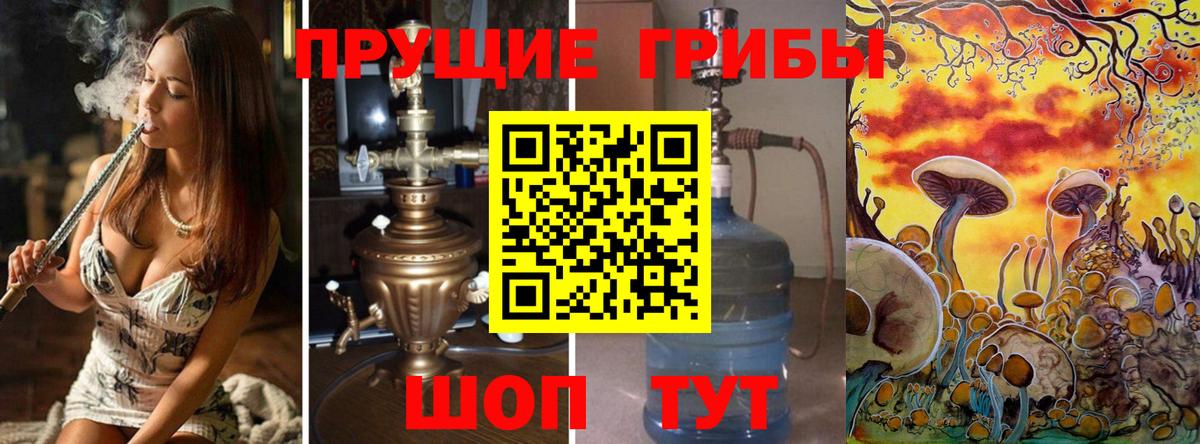 Карасук  Псилоцибиновые грибы Cubensis  Вход с VPN 