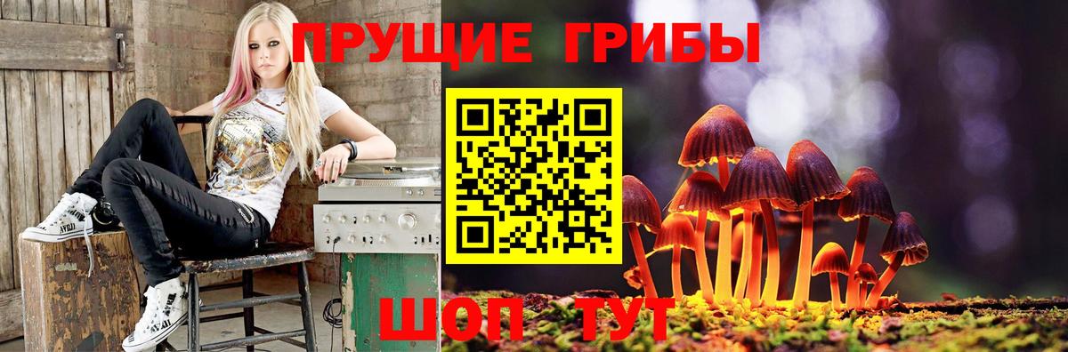 МЕФ   ГАШИШ  МАРИХУАНА  Вход с VPN  КОКАИН  Карасук  ГАШИШ 