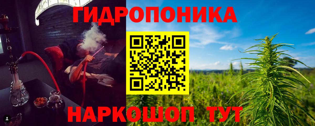 Шишки марихуана AK-47 Карасук